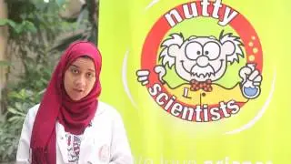 Nutty Scientists Testimonial #1
