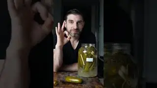 This Pickle Recipe Changed My Gut Health Forever