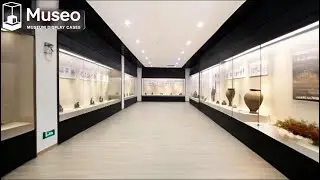 ✨ Museum display cabinets tailored to your space &mdash; that&rsquo;s Museoshowcase magic.