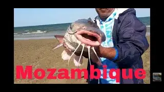 OFFROAD4LIFE, Fishing Mozambique, September, 2022