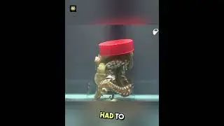 Тест на IQ осьминога |🤯🤯| #шорты