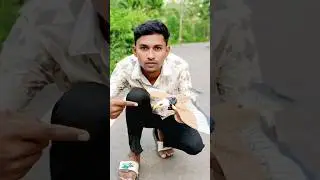 Rc Egale Flying test 🦅😲 #shorts #shortsfeed #toys