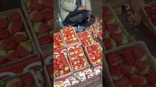 #fruit #fruitbazar #lahore #food #sastafruit #fruitmarket strawberry