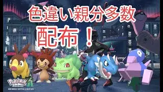 新年！親分多数色違い100匹以上配布！【何度でも参加可】