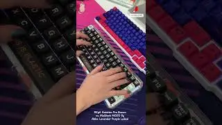 Mechanical Keyboard ASMR: MelGeek Mojo 84 vs. Royal Kludge Rk96
