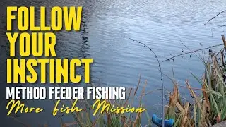 Fishing for COMMERCIAL FISHERY CARP using a method style pellet feeder in the middle of winter 🥶
