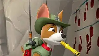 Chase and tracker tribute