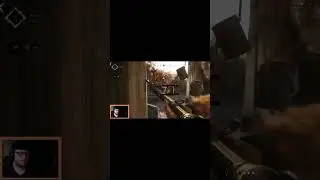 Not the bees! #gaming #twitch #huntshowdown #funny