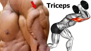 DICAS DE TREINO - Como construir tr&iacute;ceps r&aacute;pido