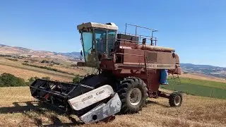 Fiat- Agri 3350 trebbiatura grano tenero “consigli e registrazioni “ da guardare tutto!!!