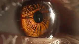 Virginia Eye Consultants - Visionary Care