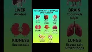 Which organ get damaged by which food #viral #healthyfoods #health #shorts