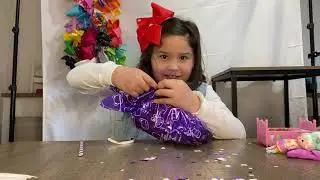 Secret Crush Minis and Na! Na! Na! surprise unboxing review!
