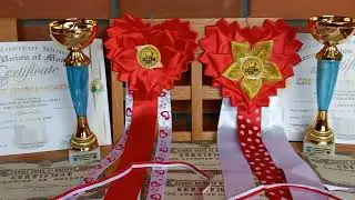 18-20. 02.2022 ORHEI, MOLDOVA 🇷🇴NTERNATIONAL DOG SHOW CACIB-FCI  CRUFTS - 2023