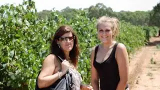 TasteTheBarossa