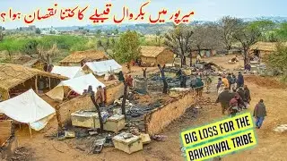 The Houses Of The Nomads Caught Fire/میرپور میں بکروال قبیلے کا کتنا نقصان ہوا ؟/Mirpur Azad Kashmir