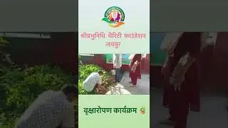 Plantation Day at shriprabhunidhi charity foundation jaipur #plants #plantation #charity #ngo