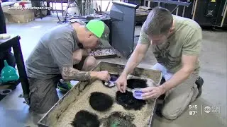 Local veteran's program at Straz Center uses art to help heal wounded warriors
