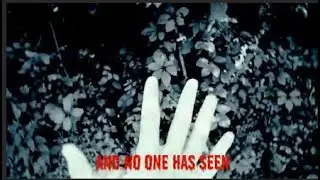 What No One Wants To See [Dark Ambient Metal Music Video