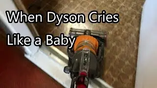 Dyson makes a Whining Noise-  Ball & Canister Filters Removed & Cleaned DC24 All Floors