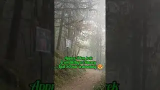 Trek to Barsey Rhododendron Sanctuary this March through a misty foggy forest.... height 9400ft.