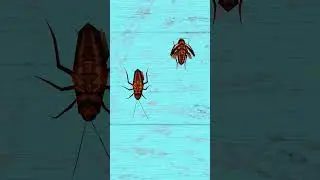 Cat Games😺 Cockroach For Cats  to Watch 🪳 #cat #catgames #cats #cockroach