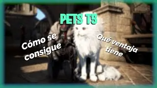 BDO | Pets T5: cómo conseguirlas y para qué sirven