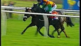 1999 Guiness Arkle Chase Flagship Uberalles