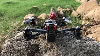 Test: Emax Eco Motors