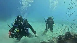 Egypt Makadi Bay Housereef 2023-10-19 Afternoon Dive