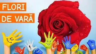 Copiii invata flori de vara 2/3