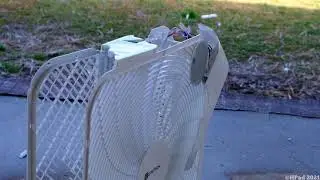 Utilitech Box Fan Destruction
