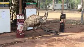 Hann River Roadhouse.