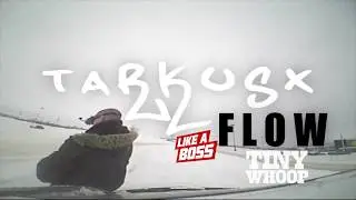 Tarkusx   FLOW