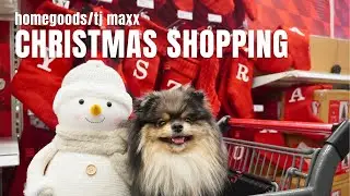 NYC Christmas Shopping With Our Dogs: TJ Maxx, HomeGoods | Life in NYC