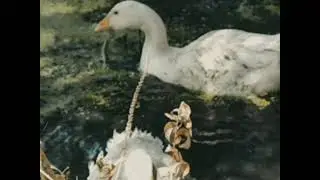 orrriginal - Environment | 48HFR 2021