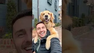 ЛУЧШЕЕ селфи с собакой 🥺