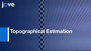 Topographical Estimation Of Visual Population Receptive Fields by fMRI l Protocol Preview