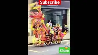 Peacock 🦚 bicycle #shorts