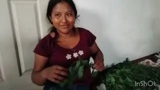 HOLA AMIGOS: PARTE #3  ESTO FUE TODA LA HIERBITA  🌿 QUILETE  QUE ENCONTRAMOS