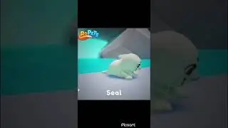 NEW Pet Seal coming to RoPets on August 25th!