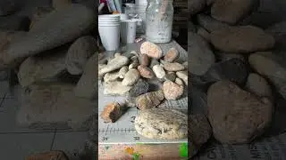 Making Rock Slime 🪨 #slime #slimemixing #rock #weird