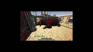 The Best Bear Tame Ever! Atlas Outtakes