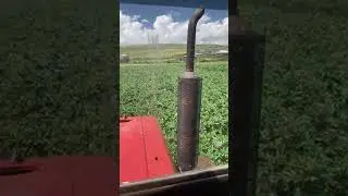 AgroArm в прямом эфире!