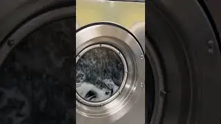 Speed Queen SC80BYV relaxing wash action