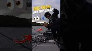 Catch 10x MORE Bass with This Fall SECRET 👀🎣 #fishing