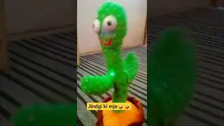 ##Cactus❤️dance💃💃💃trending##song##ytvidios