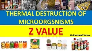 Z value l Canning Part 02 l Lesson 8 l Thermal Destruction of Microorganisms l Food Processing