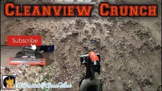 Bissell Cleanview Full of Royal Crunch 🔥
