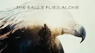 The Eagle Flies Alone - Arch Enemy (Cover)